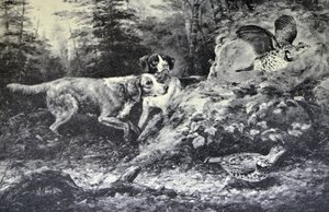 American Field Sports. Flushd (original oil painting by Arthur Fitzwilliam Tait, N.A., from which the print was made) by N. and Ives, J.M. Currier